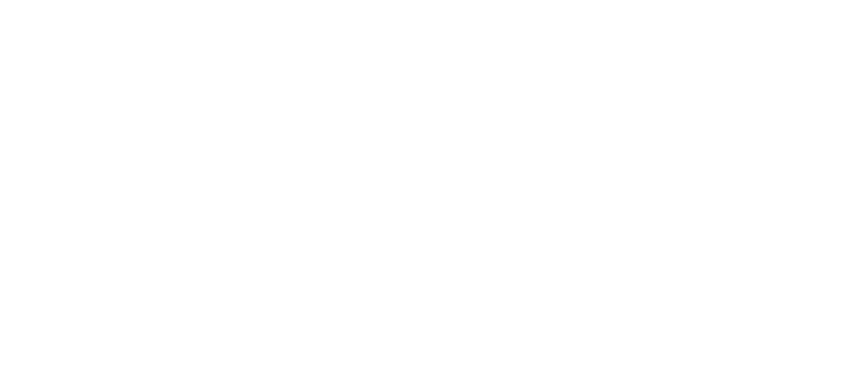 Logística Polo Latam
